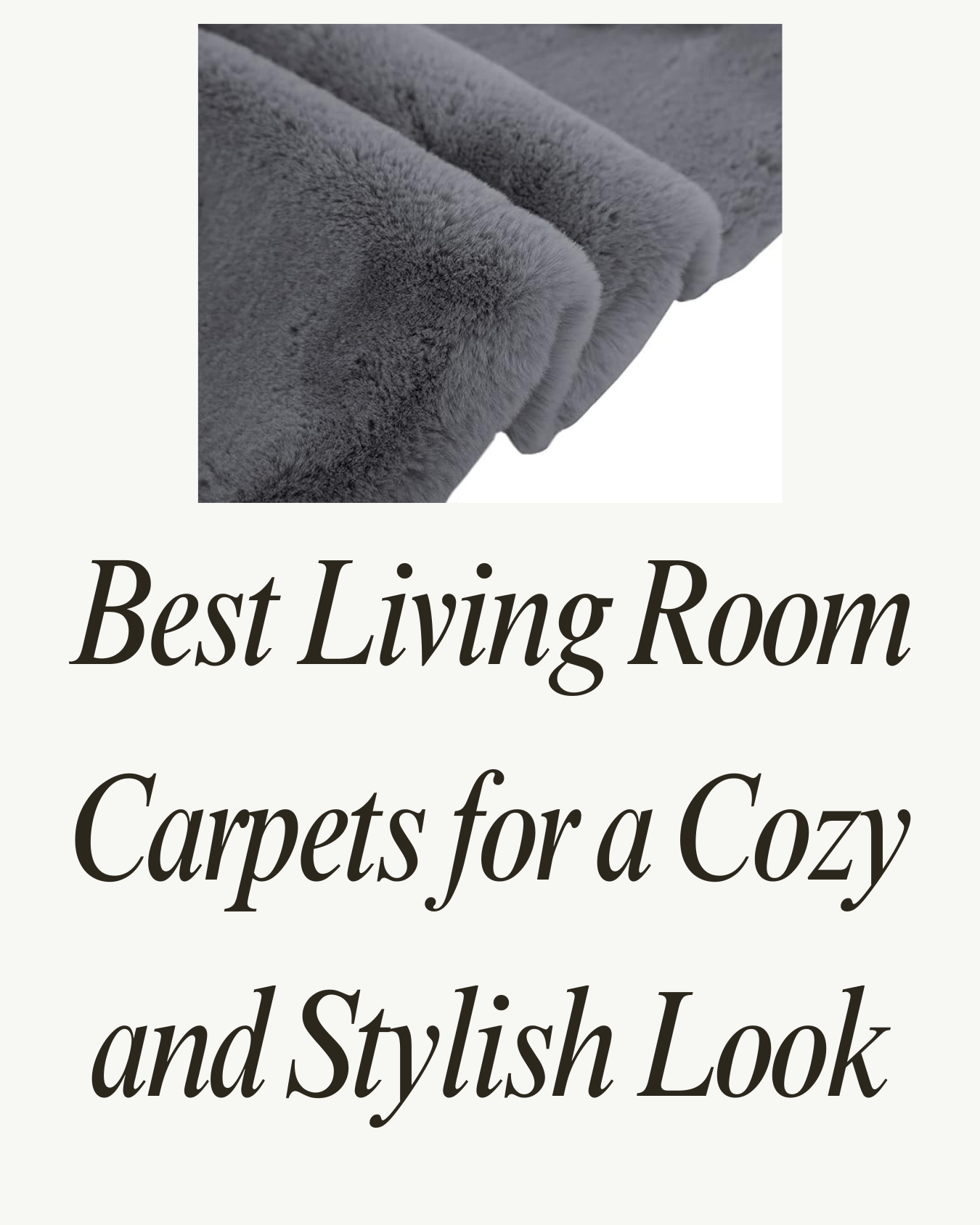 Best Living Room Carpets for a Cozy & Stylish Space – rugnoor.com