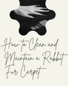 cleaning_maintenance_tip_rabbit_fur_carpet