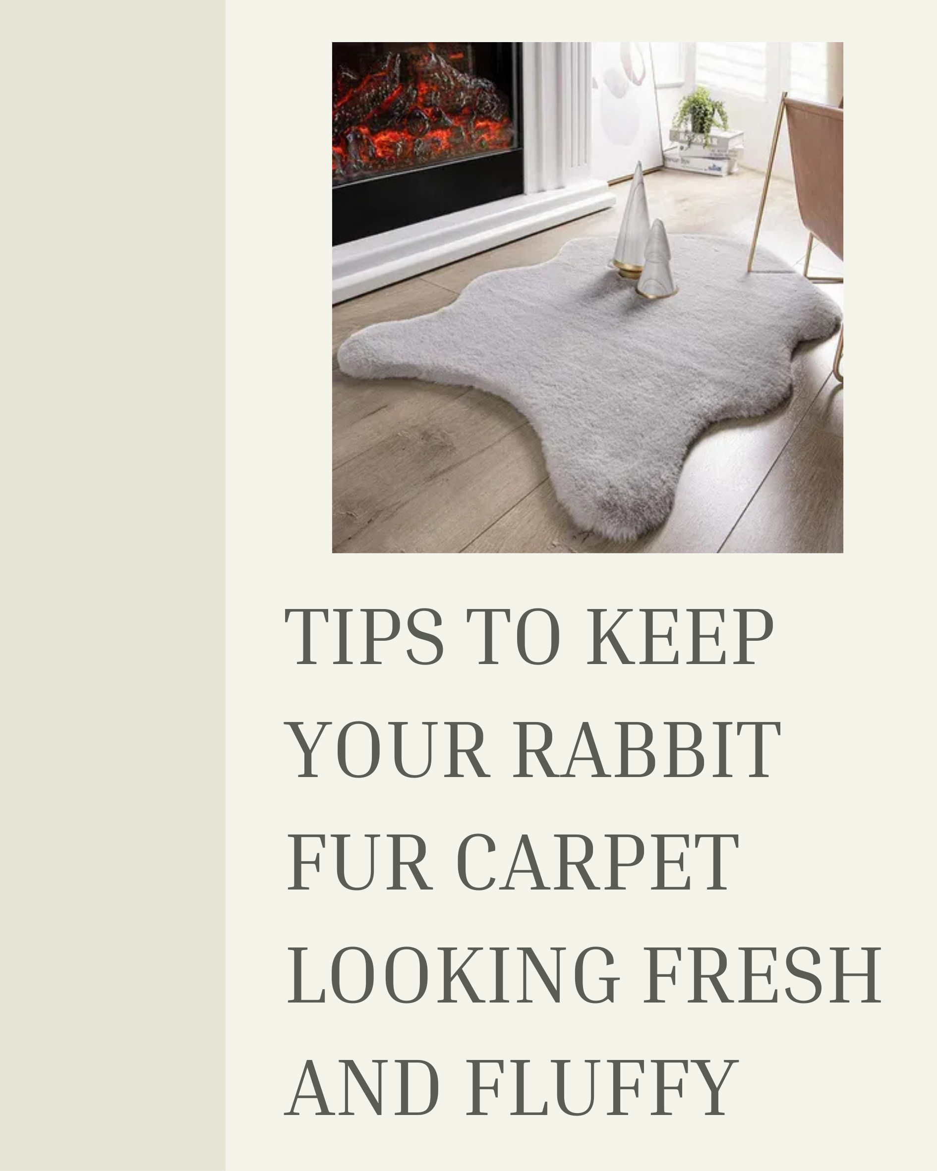 tips_keep_rabbit_fur_carpet_fresh_fluffy