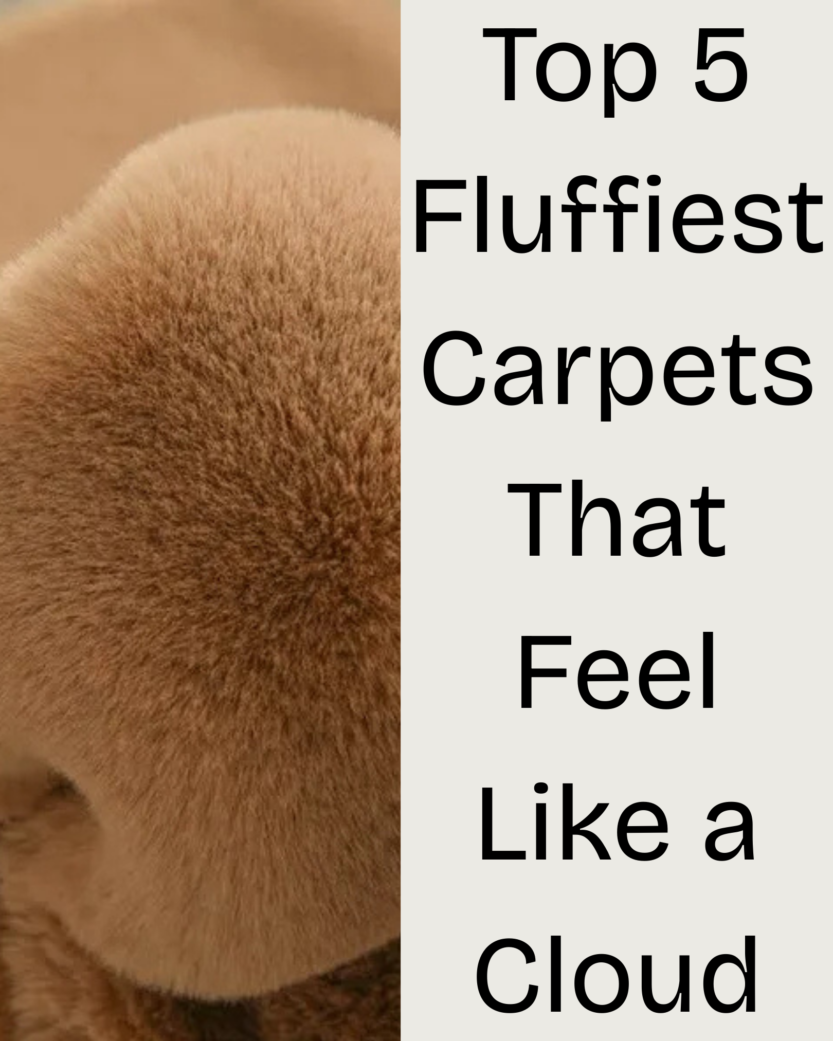 fluffiest_carpet_that_feels_like_cloud