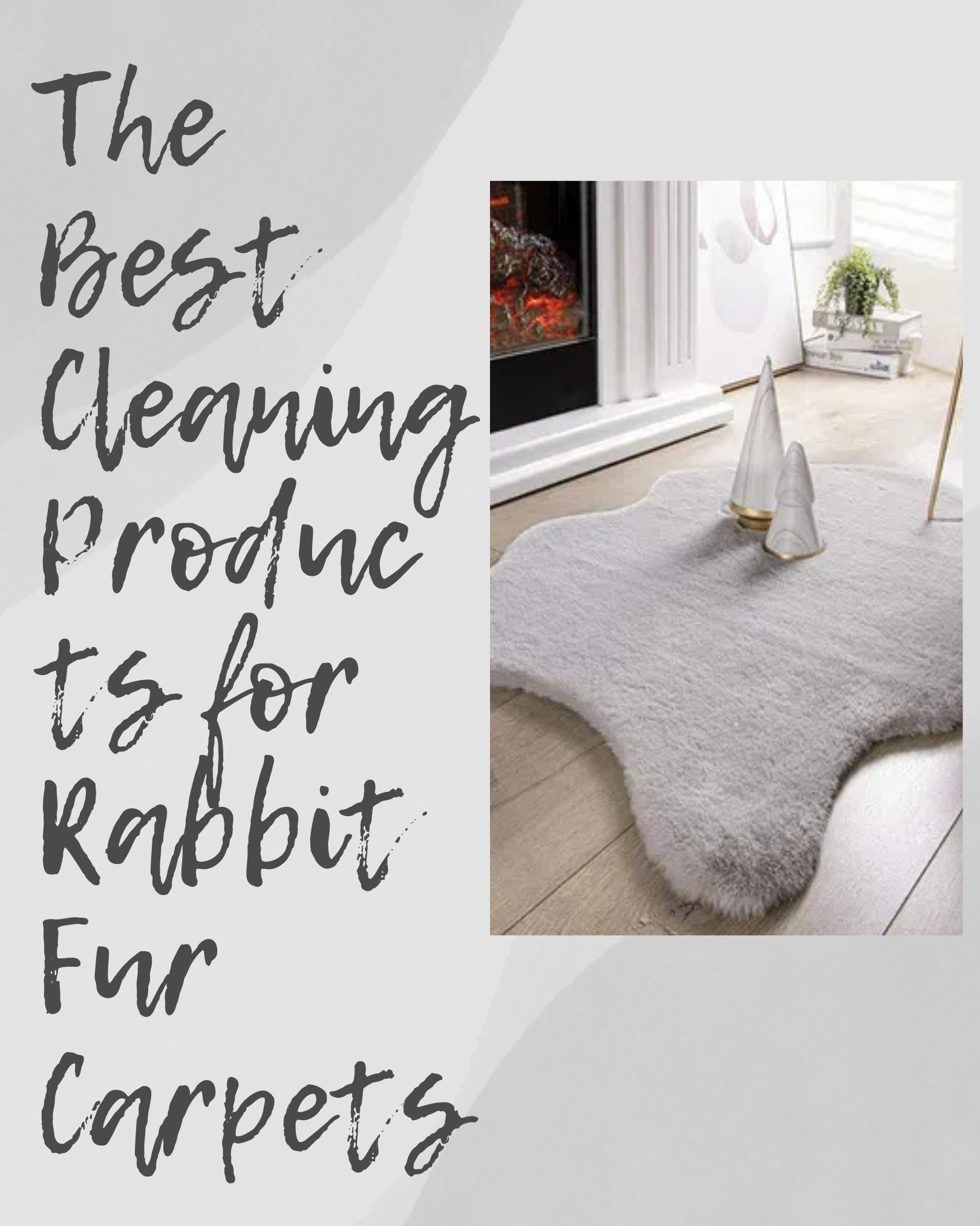 cleaning_products_rabbit_fur_carpet