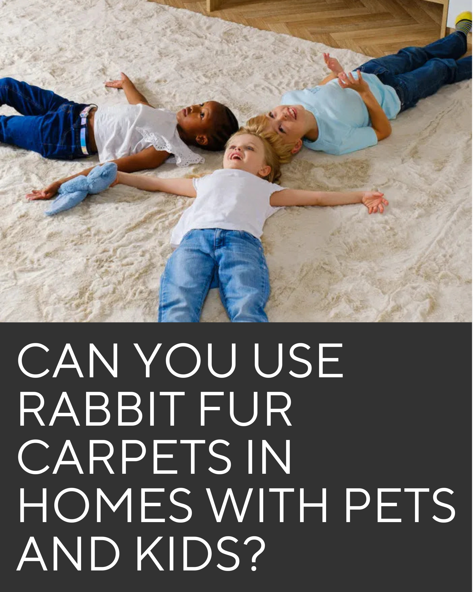 rabbit_fur_carpet_for_pets_kids