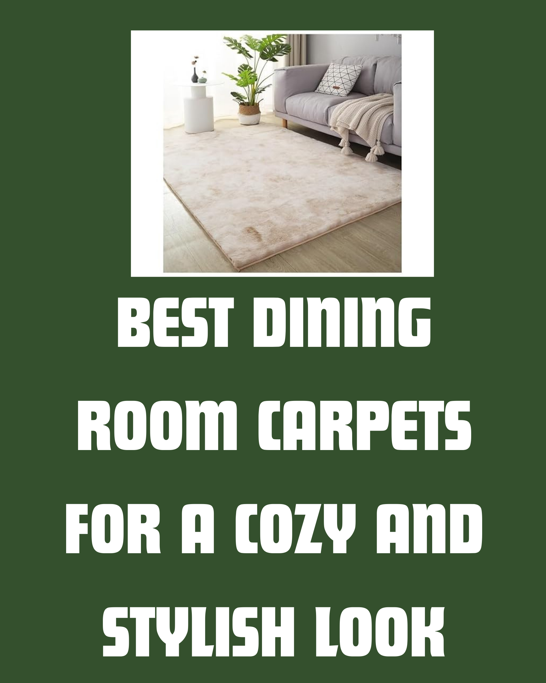 best_dining_room_for_cozy_sylish_look