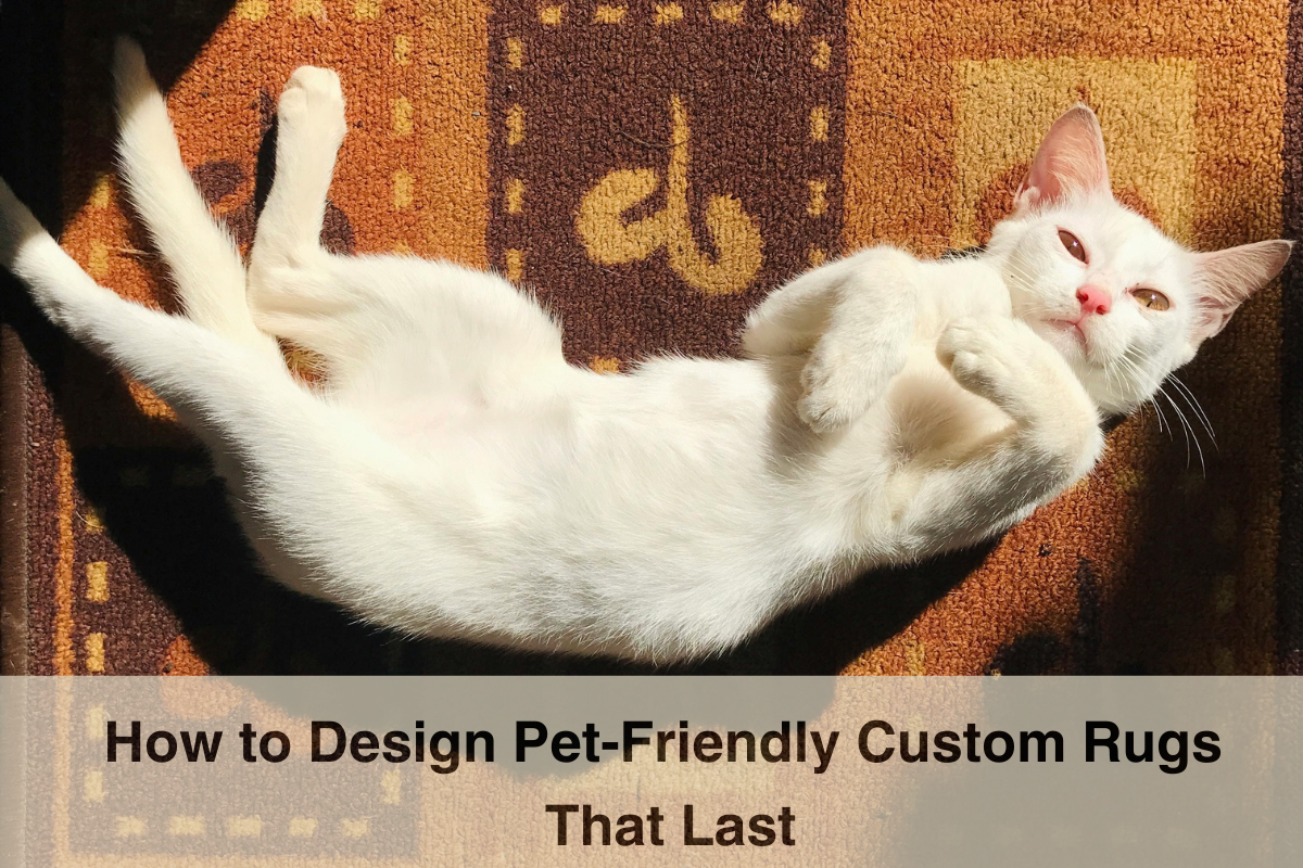 Pet-friendly hand-knotted rug with cat resting on it in a cozy living space