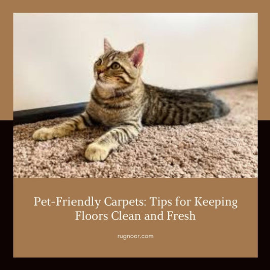 pet_on_carpet_rugs