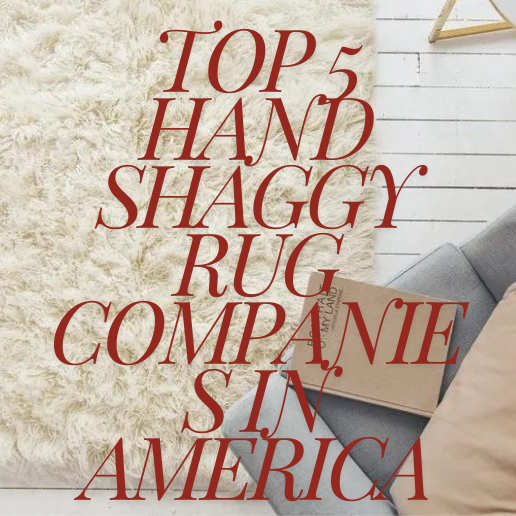 hand_shaggy_rug_in_america_online