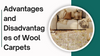 pros_and_cons_wool_carpet