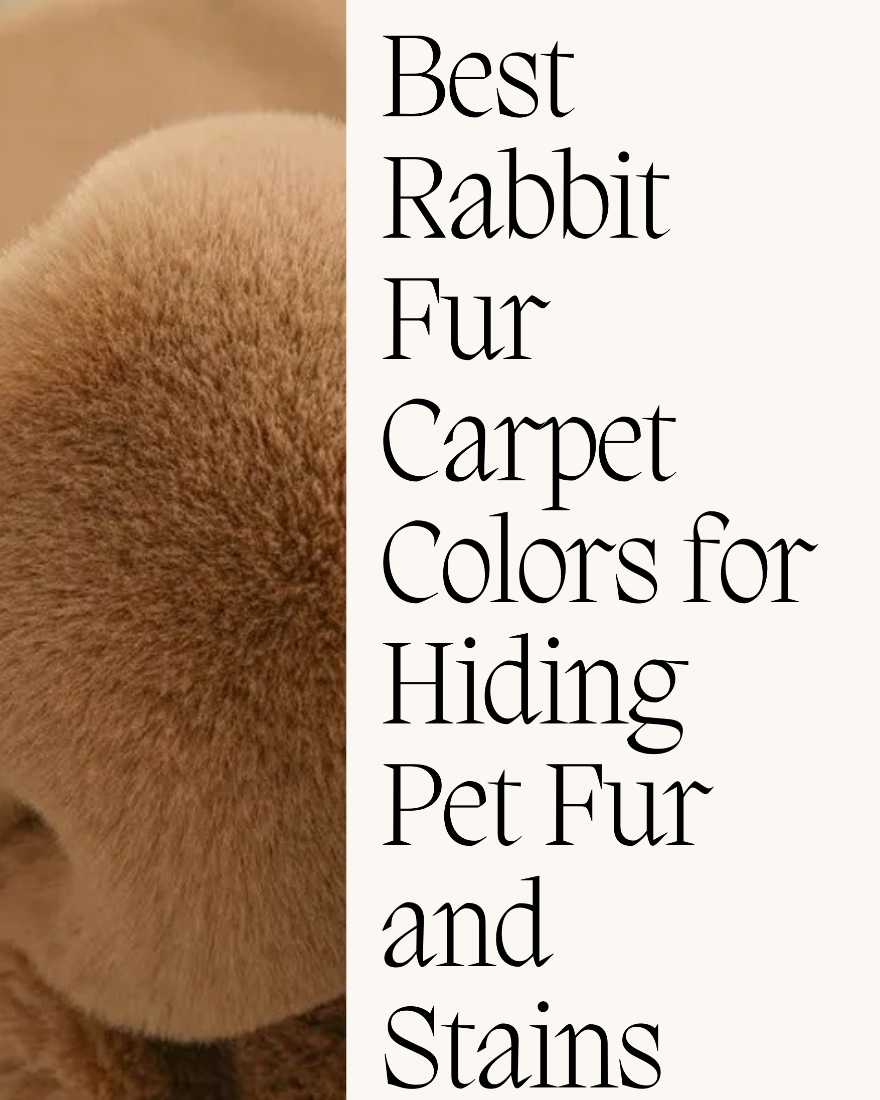 rabbit_fur_carpet_for_stain_resistance_for_pets