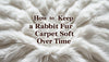maintain-rabbit-fur-carpet