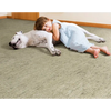 Kid's Playroom Rugs