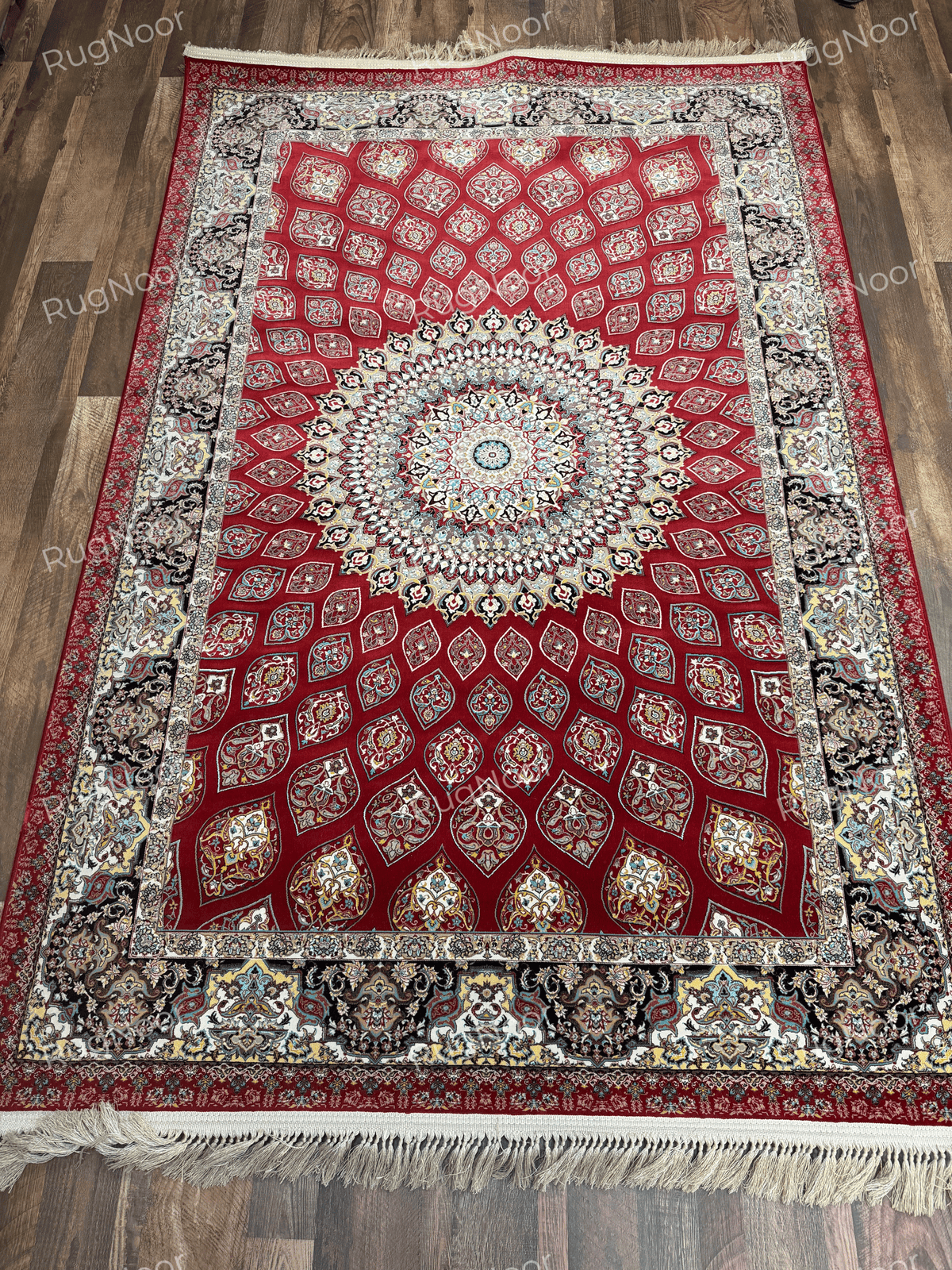 Full view of the red Irani carpet with floral medallion and ornate multicolour borders