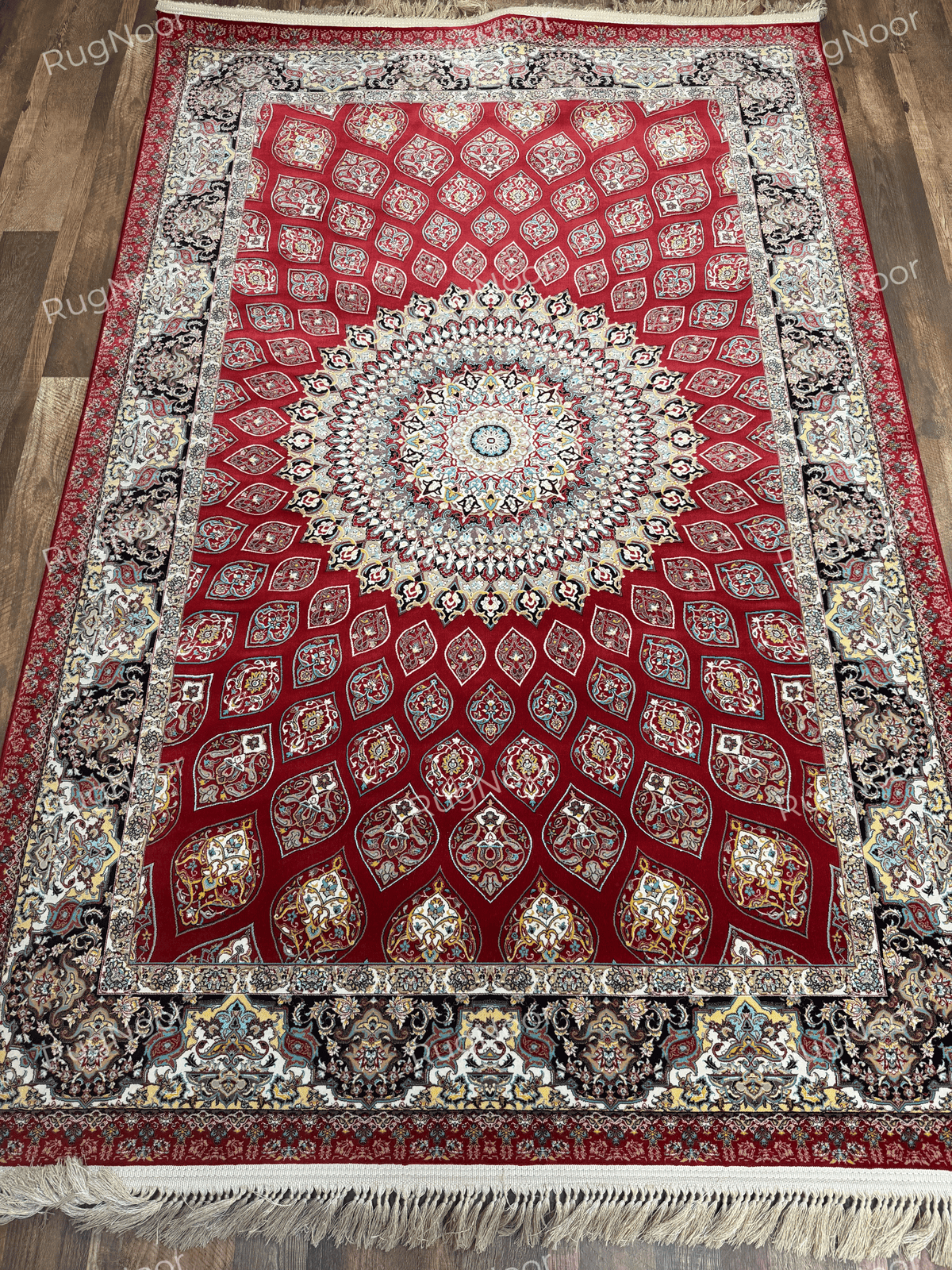 Overhead view of the red Irani carpet showing the complete pattern and fringed edges