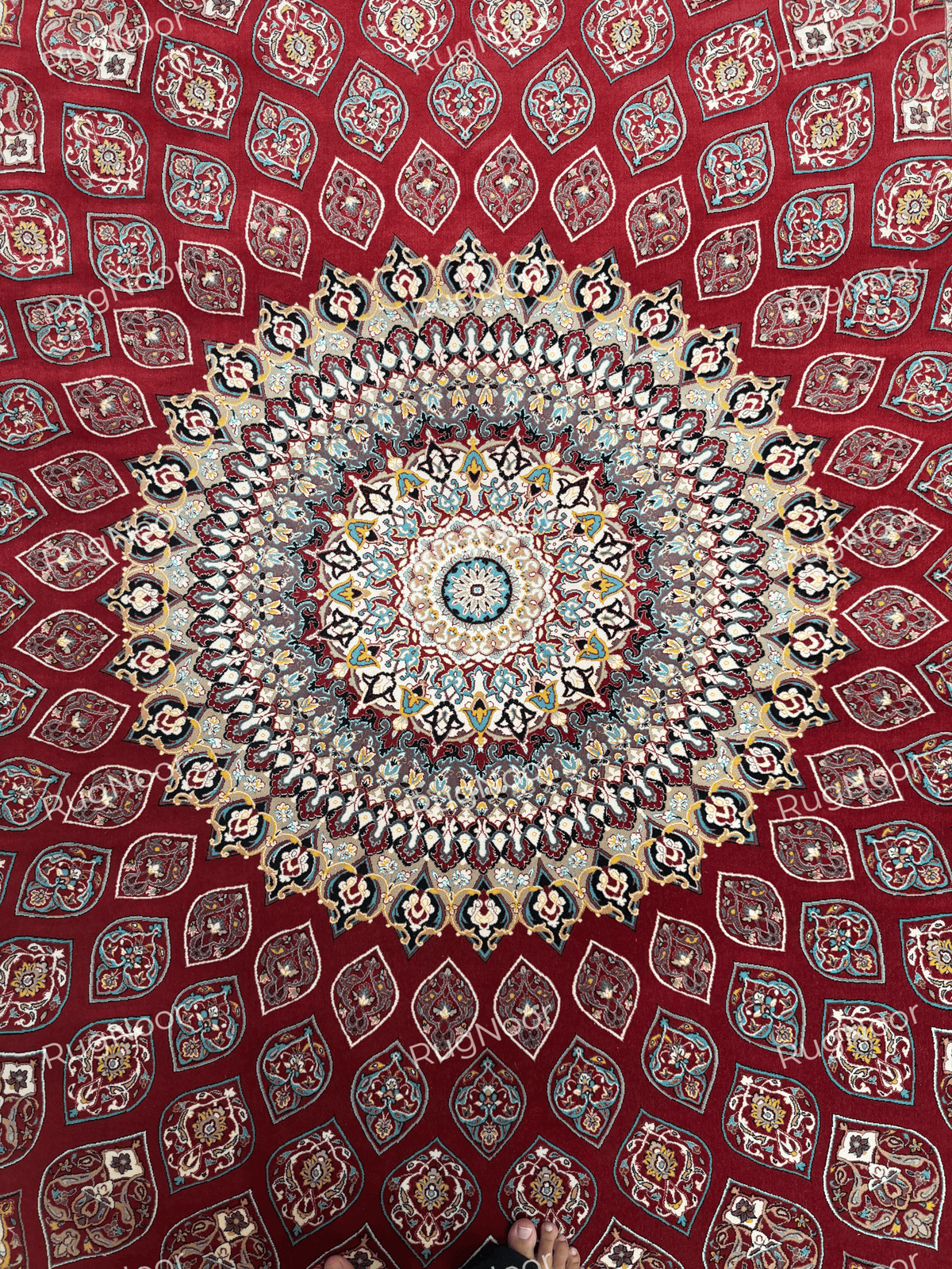 Red Irani carpet with a central floral medallion and repeating decorative motifs