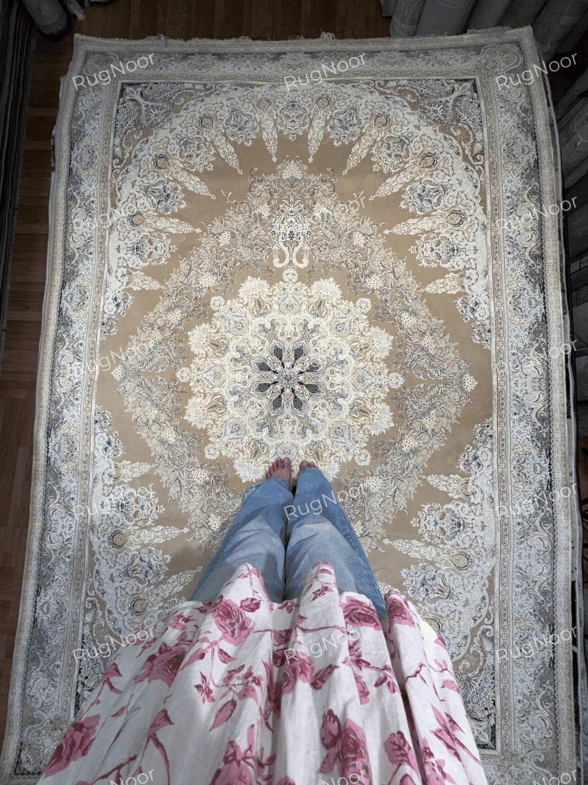 Full view of the 6x9 Warda beige carpet with an ornate central medallion and decorative border, RugNoor.