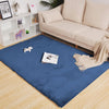 Blue rabbit fur rug in a living room with a sofa and decorative items.