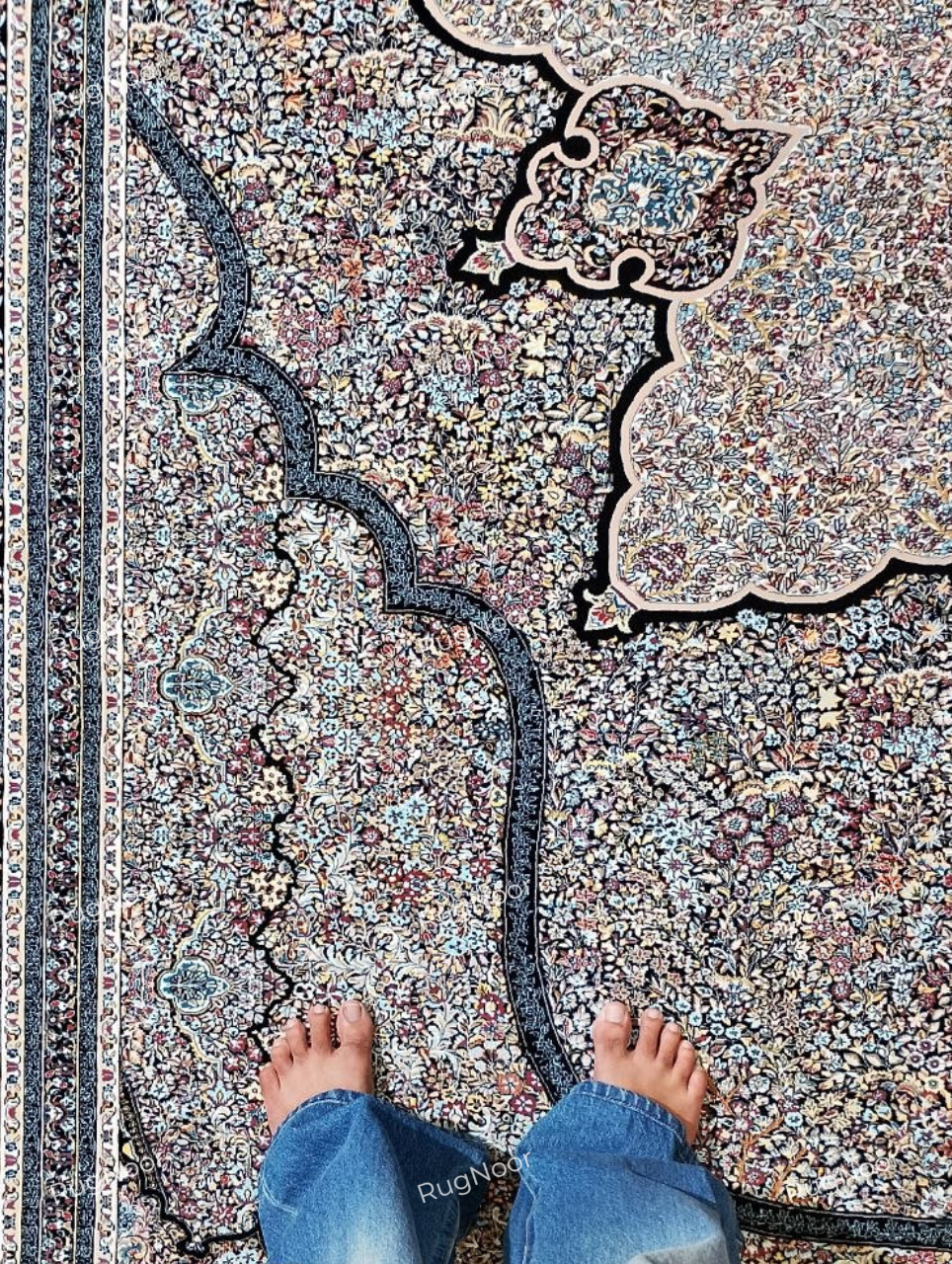 Detailed view of the Azrinah carpet's ivory and beige ground, dark outlined medallion motifs, and intricate decorative border.
