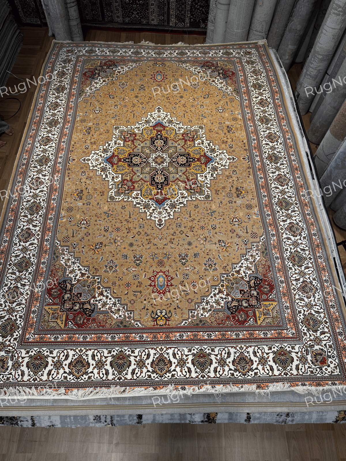 Full view of the 6x9 Anbara carpet showing its camel-beige field, central multicolour star-shaped floral medallion, scattered floral motifs, ornate ivory outer border, and fringe along the near edge.