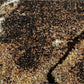 Brown Beige Abstract Modern Carpet