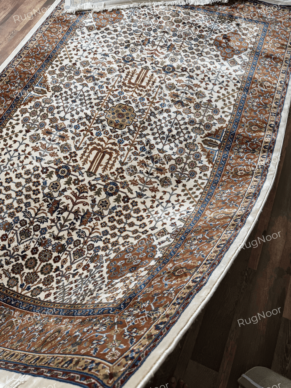 Full view of ivory rug with symmetrical floral motifs and multicolour decorative borders - Ghazal RugNoor