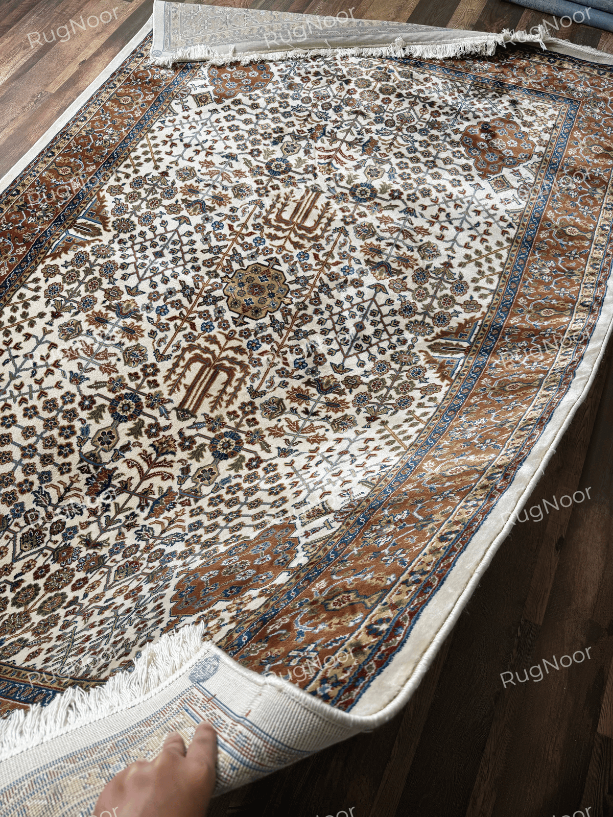 Close-up of the rug's finished edge and ivory pile - Ghazal RugNoor