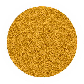 Golden Carpets
