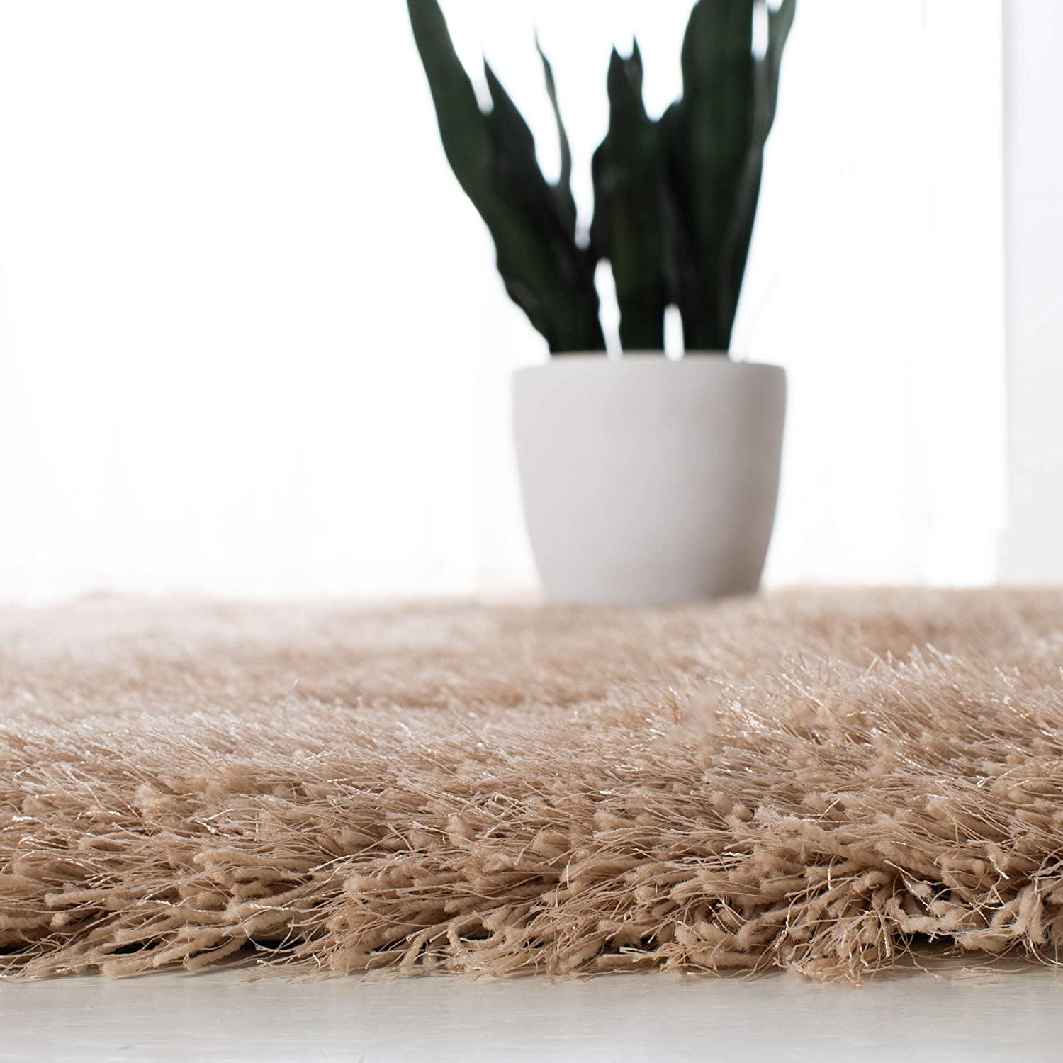 Beige shag rug edge close-up with potted plant decor - RugNoor