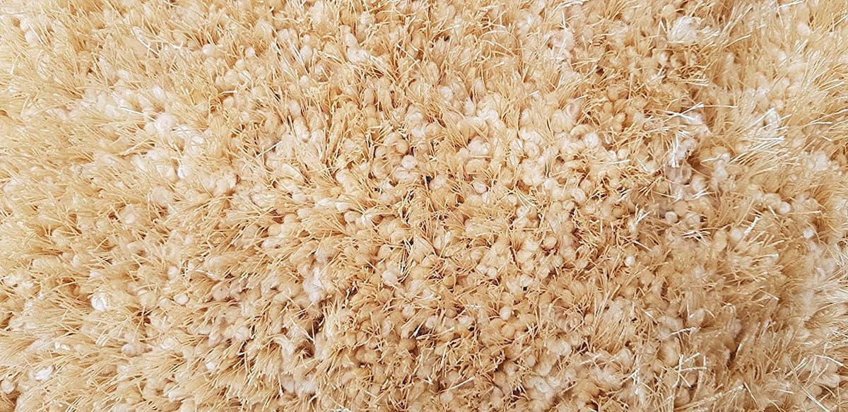 Cream shag rug close-up showing full pile texture - RugNoor